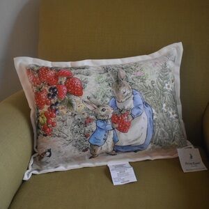 Viral Peter Rabbit Decorative Pillow with Strawberry Accents NWT